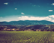 强劲高效持久的免费DDOS攻击测试工具